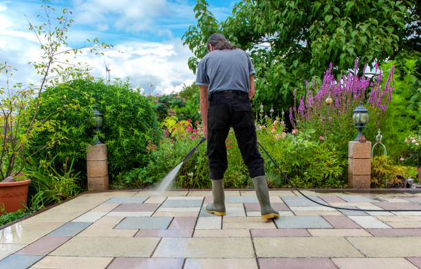 Best Post-Construction Pressure Washing  in Franklin Park, FL